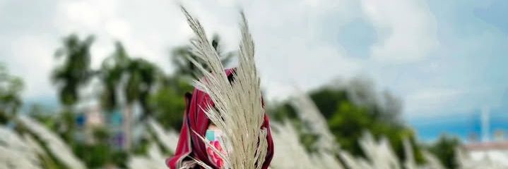 Nisa77477's profile banner image