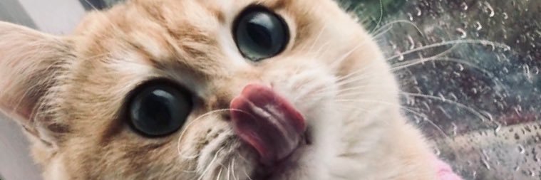 MathildeVenien's profile banner image