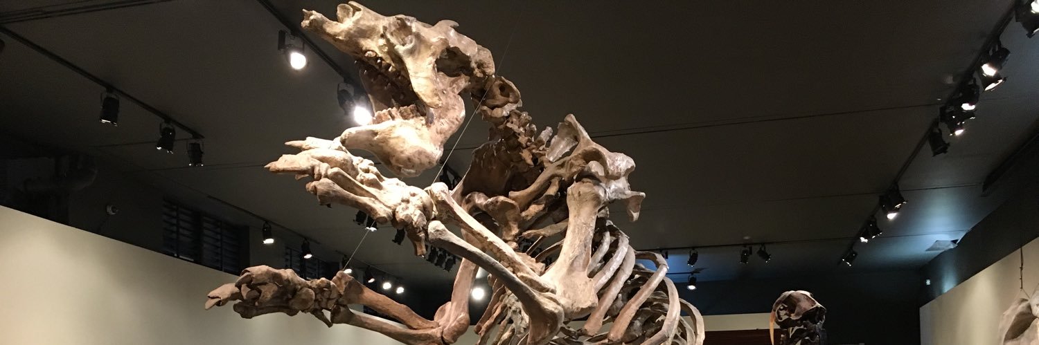 CarlosTaboada banner