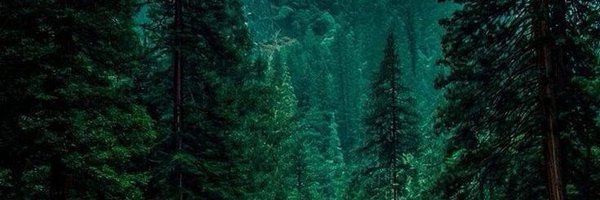 70eeznutz Profile Banner