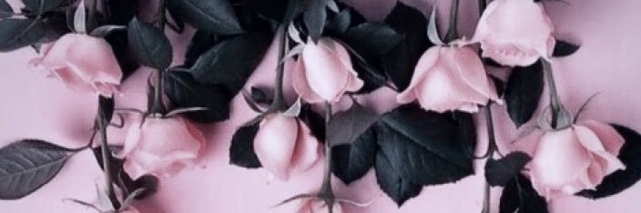 almaboca's profile banner image