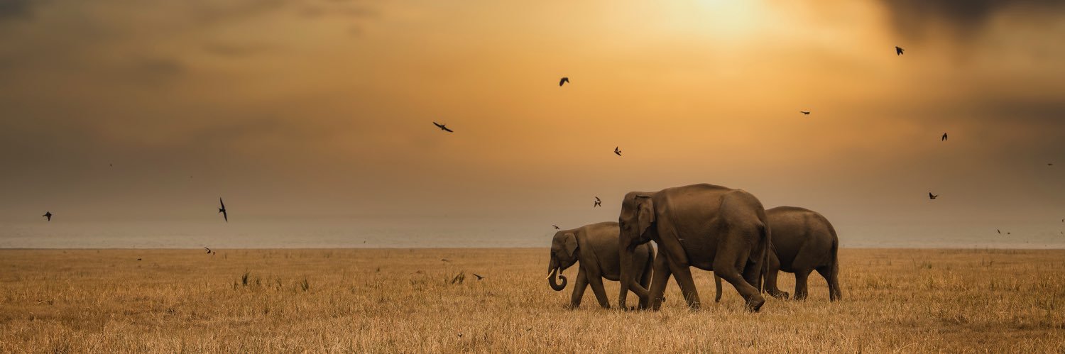 Ratish2709's profile banner image