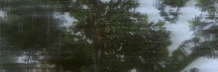 sfirrr_'s profile banner image