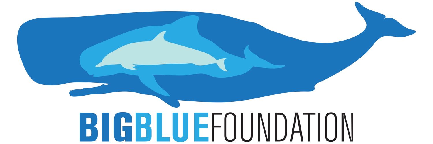 thebigbluefoundation banner