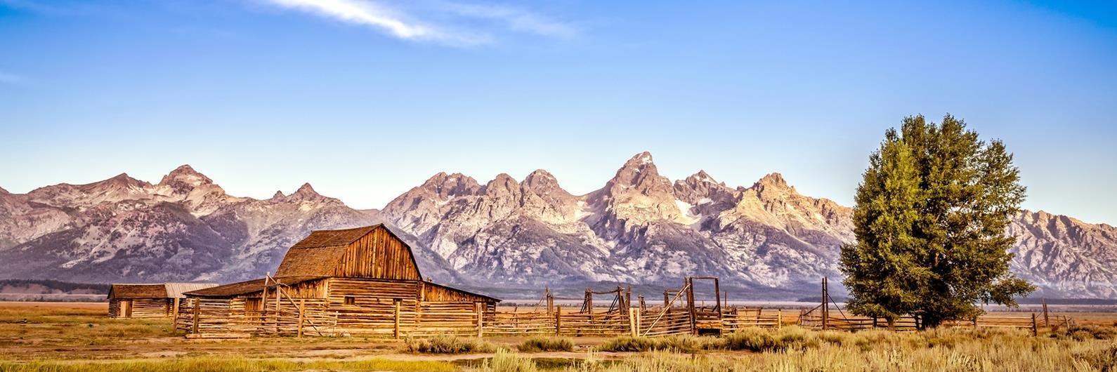 Jackson Hole Chamber banner