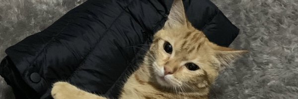 adalahafif Profile Banner