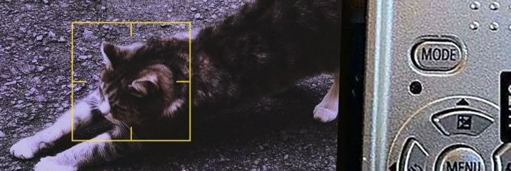 𝓁𝒶𝓋𝑒 banner