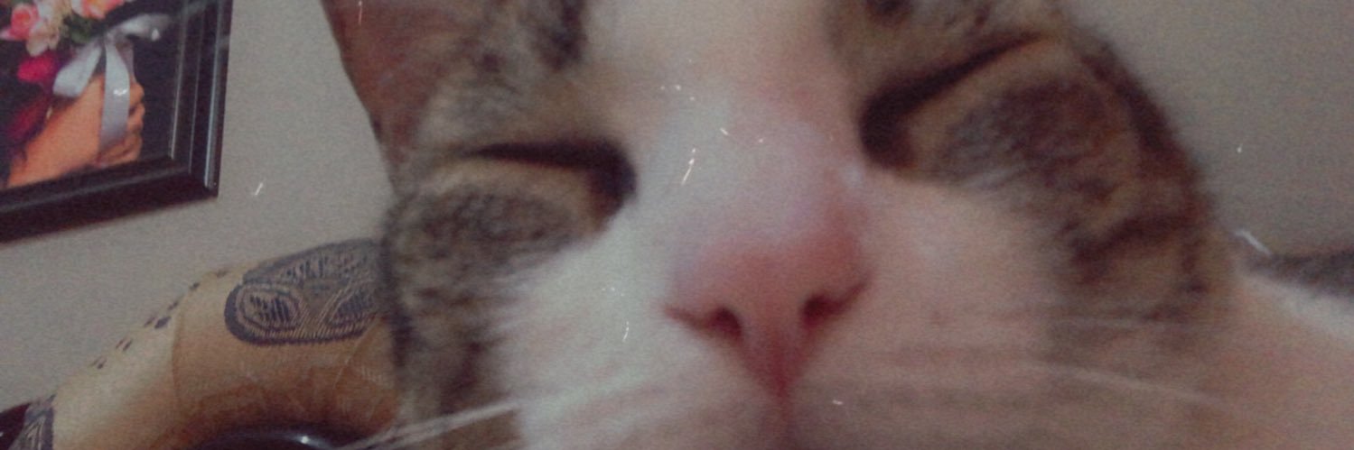 maft_14's profile banner image