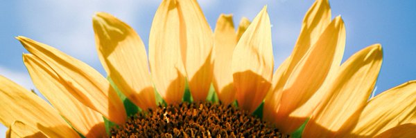 wijayasasnaaa Profile Banner