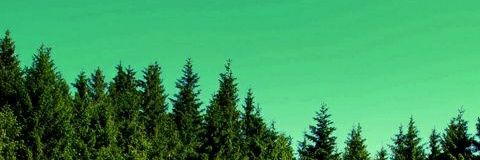 archibarbeque's profile banner image