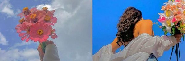 ShallyBeebah Profile Banner