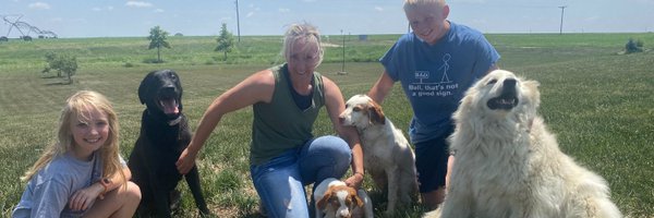 MikeHoltmeier Profile Banner