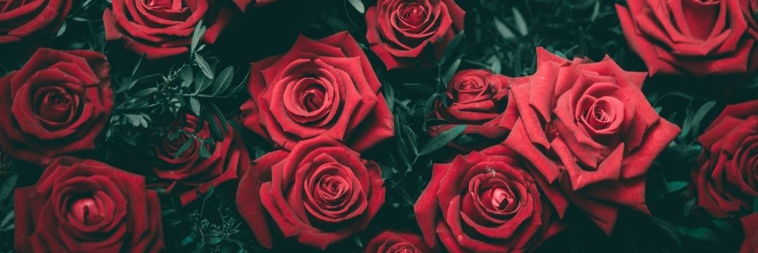 Hala_Mady1's profile banner image