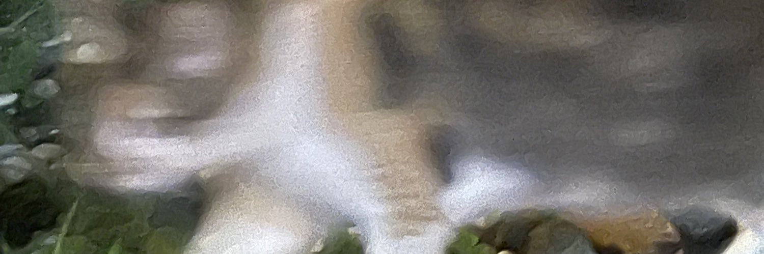 53's banner