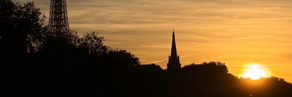 🌸 banner
