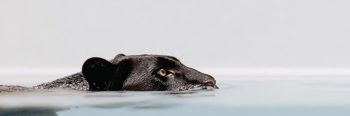 ０２７🇸🇦 banner