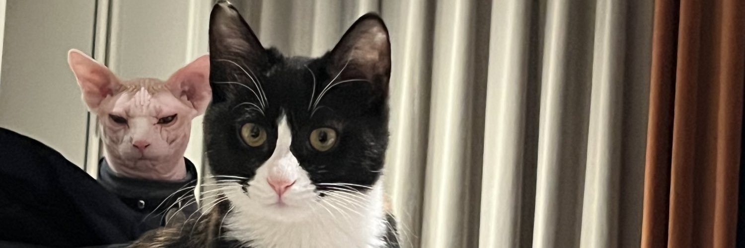 Molly_A3's profile banner image