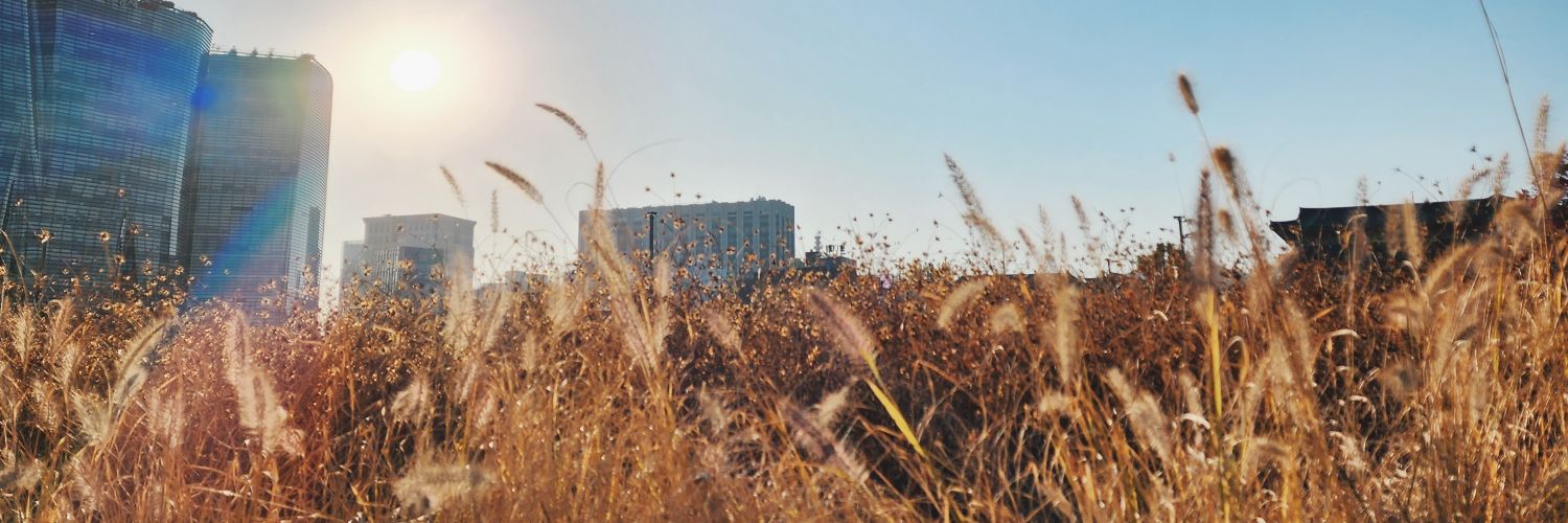 ⋆˚milk & honey🌱🍊✦ banner