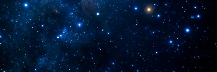 traderBXV's profile banner image
