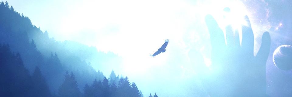 fgursu's profile banner image