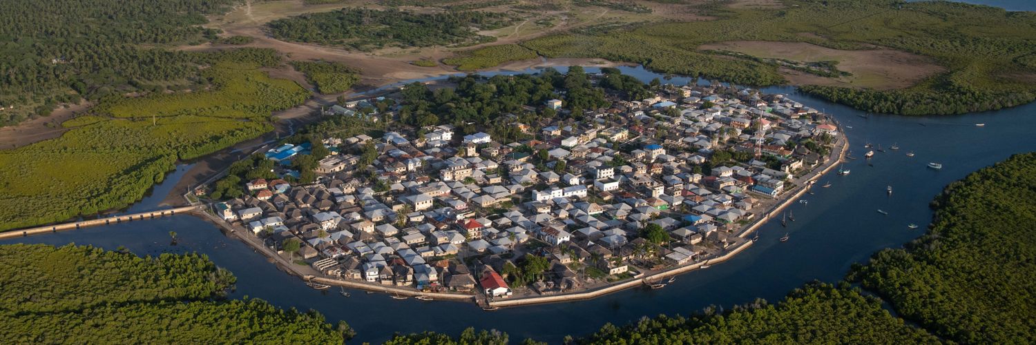 Western Indian Ocean Mangrove Network banner