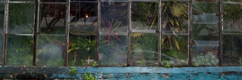 JeansBoots's profile banner image