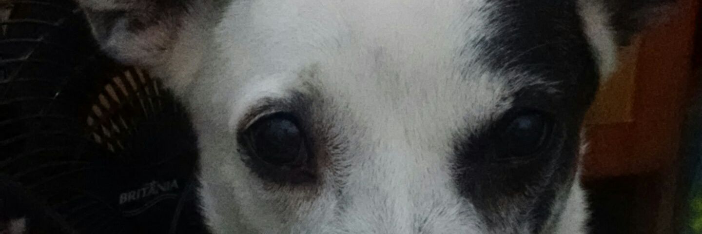 Amanda Loquiner 🖤🤍🌈🏳️‍🌈 banner