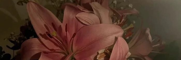 lsxx2i's profile banner image