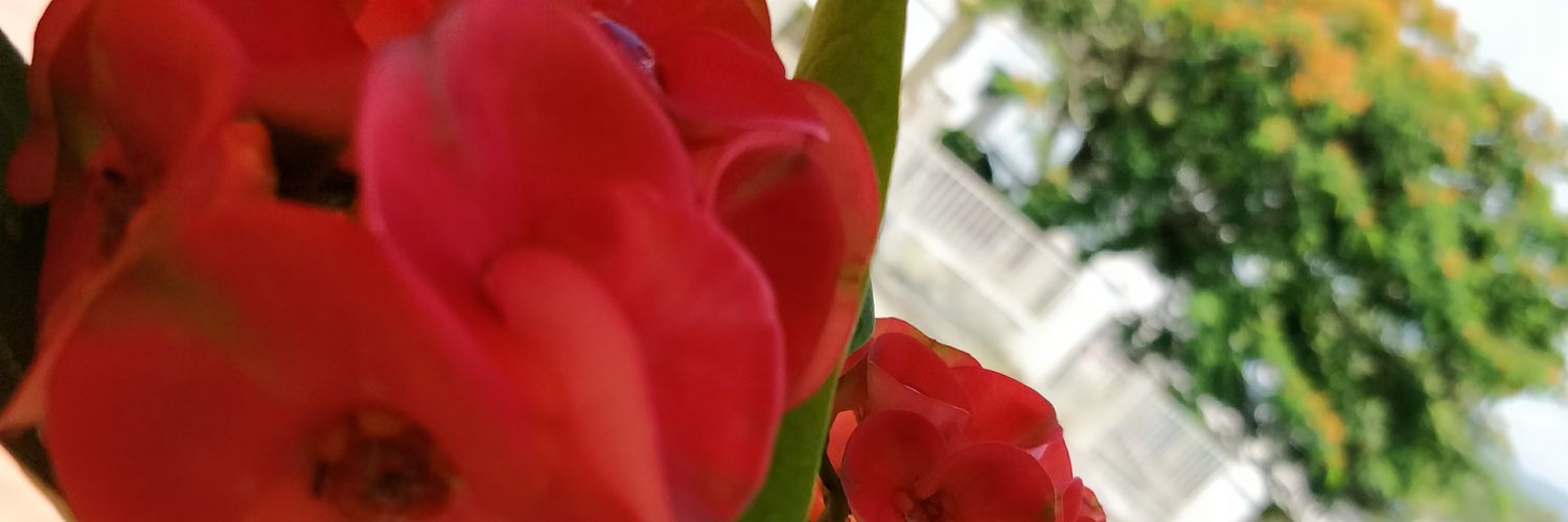 Rios_WRM's profile banner image