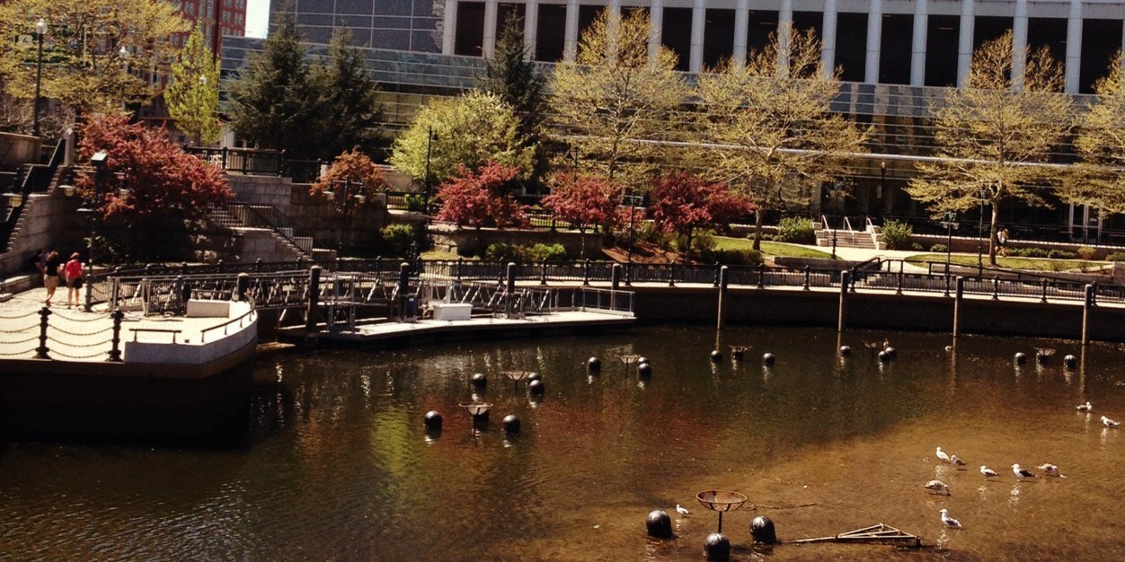 Kathleen Malin banner