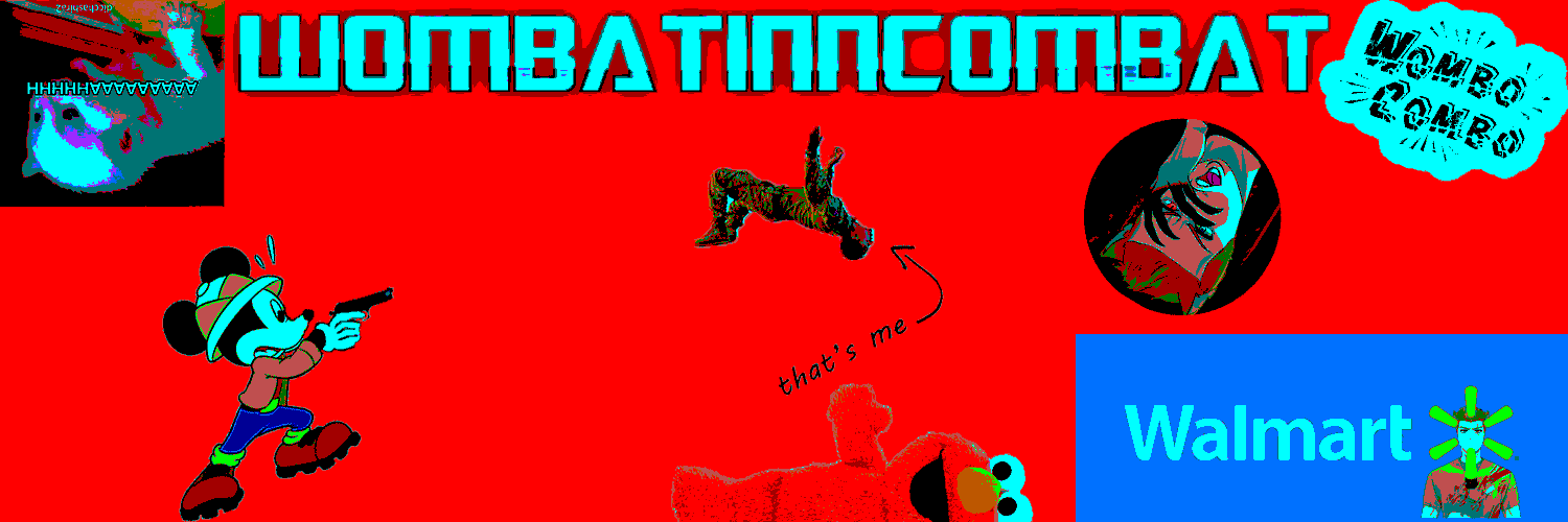 WOMBATinnCOMBAT🐨⚔️ Wombat Boi VTuber banner