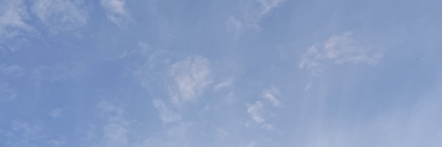 Santimer banner