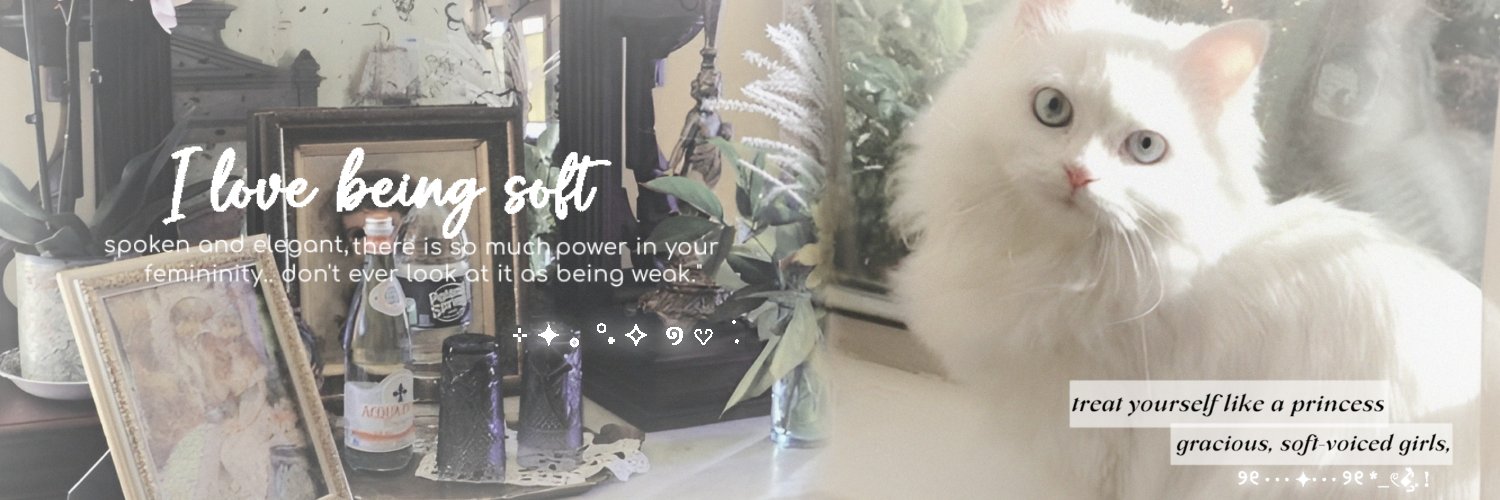 muchdianne's profile banner image