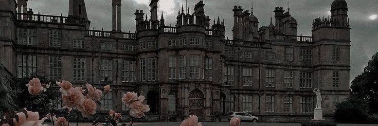 المرحومة سينب banner