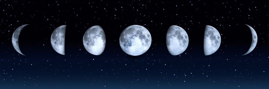 ficinib's profile banner image
