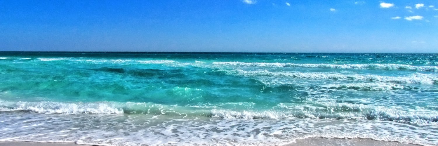 SandyHug204's profile banner image