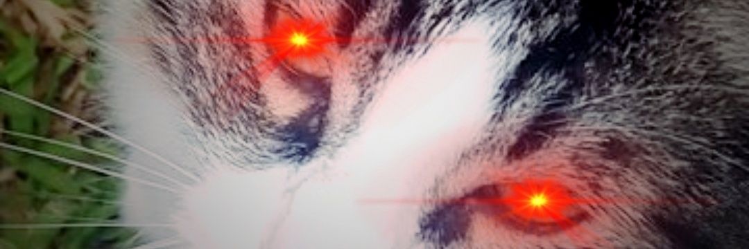 carlosdaniel66's profile banner image