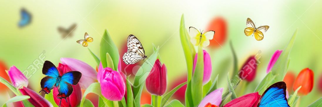 debbieariley's profile banner image