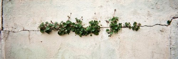 daim_le's profile banner image