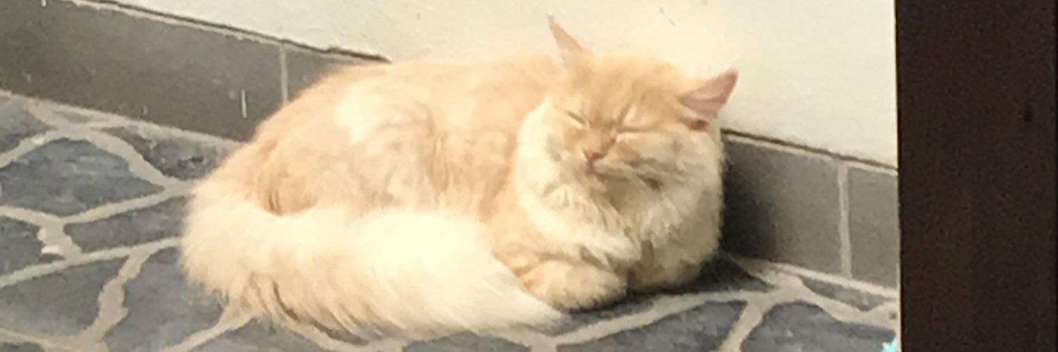 bimowss's profile banner image
