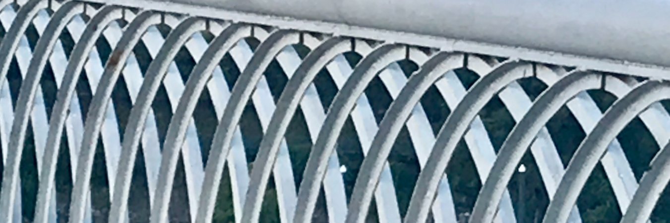 AmyMorton's profile banner image