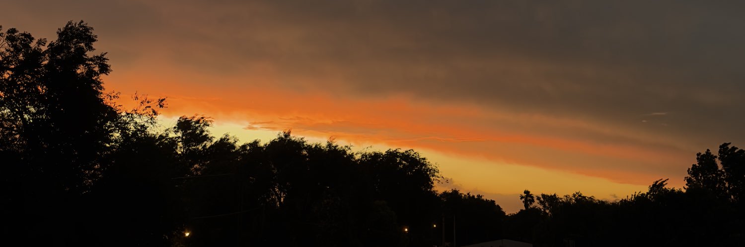 tominho banner