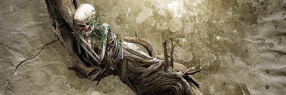 Thrashertala's profile banner image