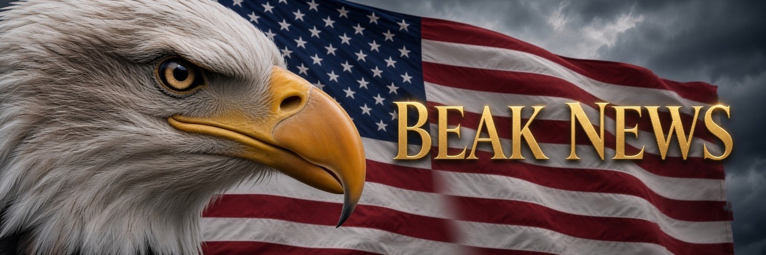 Beak_News's profile banner image