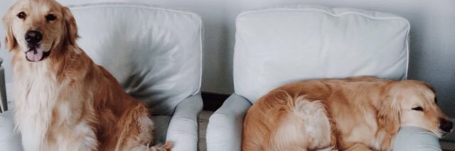 kyosgood's profile banner image