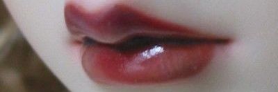 dolly_cals's profile banner image
