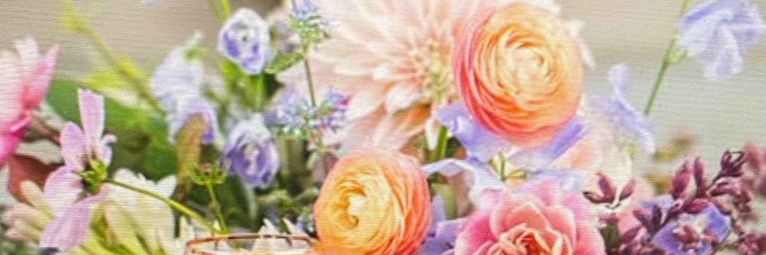 AristeaBrady's profile banner image