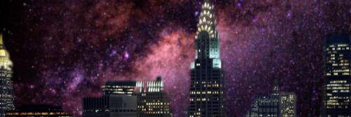 michellesarue's profile banner image
