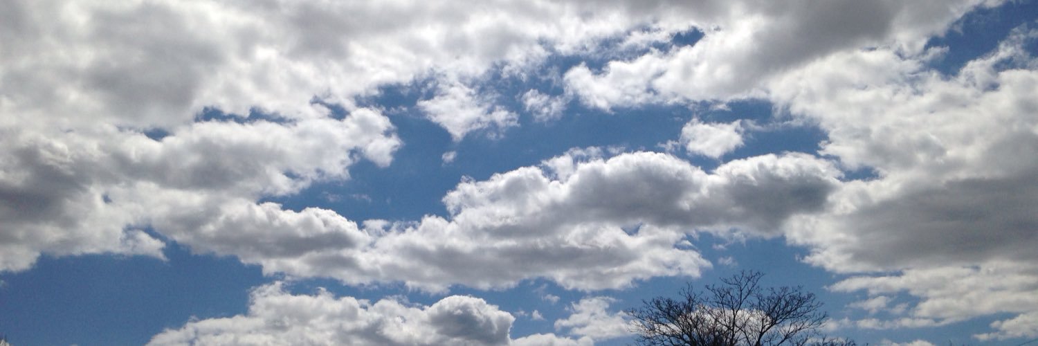 LunarKnite's profile banner image