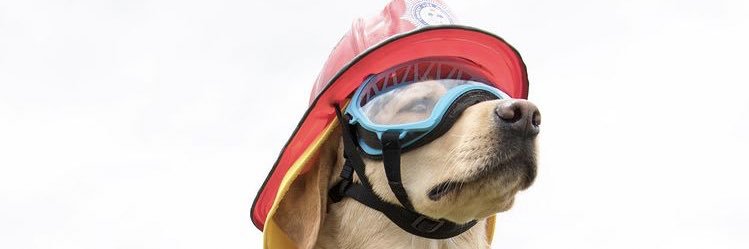 Doreen Overstreet banner